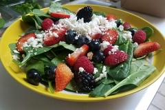 Spinach-Berry-Salad